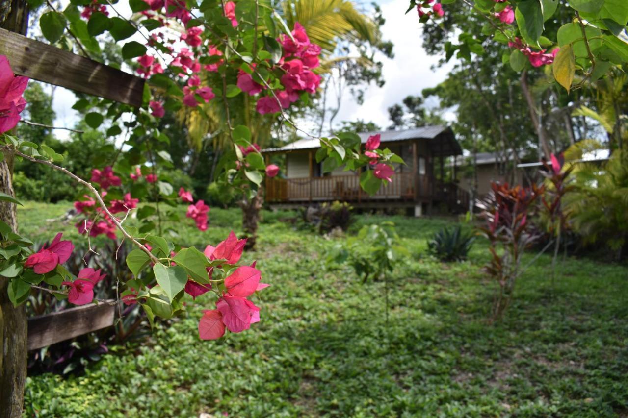 Hidden Haven Hostel Unitedville Exterior photo